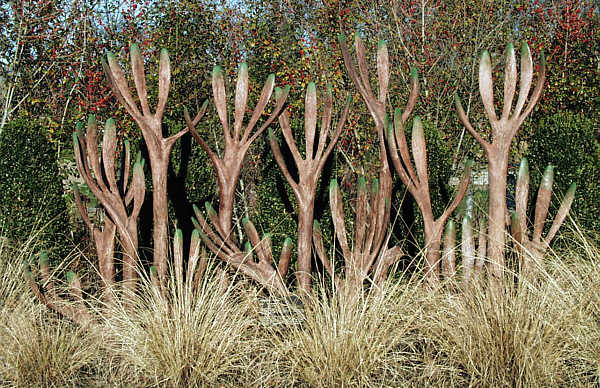 A Hedge against Extinction