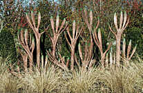 A Hedge against Extinction